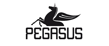 Pegasus Yayınları