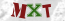 Güvenlik Resmi