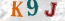 Güvenlik Resmi