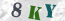 Güvenlik Resmi