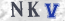 Güvenlik Resmi