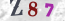 Güvenlik Resmi
