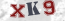 Güvenlik Resmi