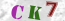 Güvenlik Resmi