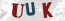 Güvenlik Resmi