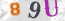 Güvenlik Resmi